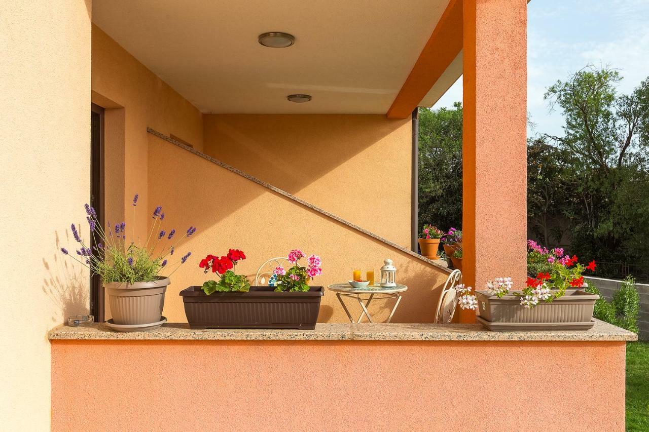 New Cozy Nico 2+1 Apartment Pula
